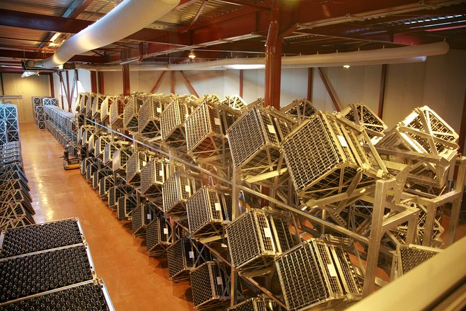2 Hour Sparkling Wine Tasting and visit in Beaune - Who Should Book This Sparkling Wine Experience (and Who Should Skip It)