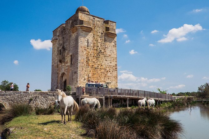 3.5 Hour Camargue 4x4 Safari from Le Grau-du Roi - Guides: the difference between a drive and a real story