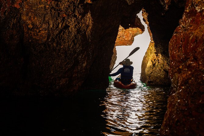 3 Hour of Sea Kayak Trip in the Creeks of Sete - Price and Value: What $60.49 Gets You in Real Life