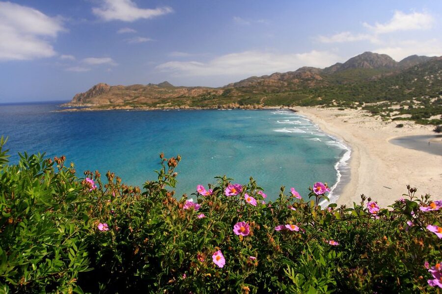 4x4 Agriates Desert and Beach Excursion from Calvi - Ghignu Beach: 4 Hours at Corsica’s Most Wanted Wild Coast