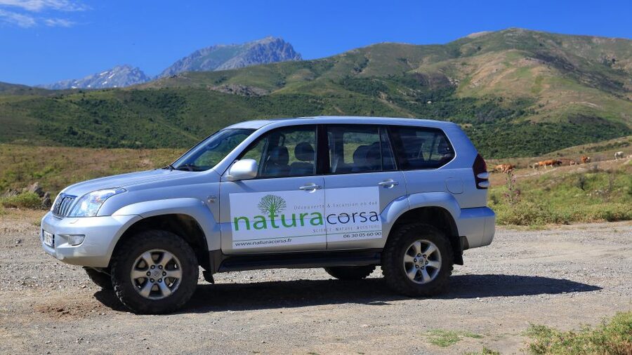 4x4 Agriates Desert and Beach Excursion from Calvi - Small Group Touring: What Up to 6 People Changes