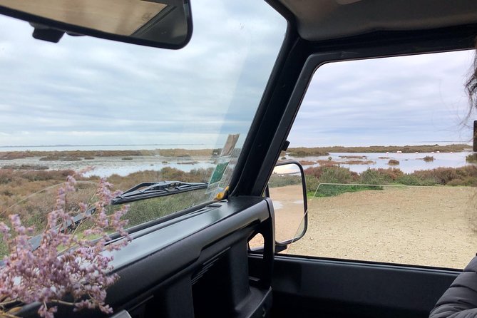 4x4 Camargue Safari 4h - Departure from Arles - How the 4x4 setup changes the whole experience