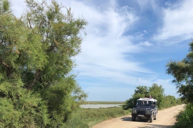 4x4 Camargue Safari 4h - Departure from Arles - Camargue safari driving: scenery, salt water, and real ecology