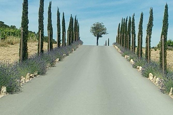 5-Hour Private Sightseeing Tour of the Provence from Marseille in Luxury Car - How the private guide makes the day feel customized