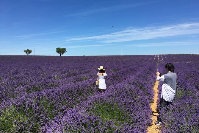5-Hours Lavender Fields Tour in Valensole from Aix-en-Provence - Key things I’d prioritize on this lavender tour