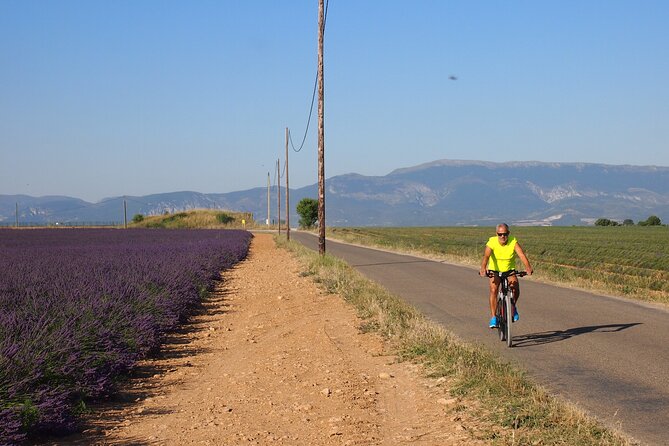 5-Hours Lavender Fields Tour in Valensole from Aix-en-Provence - A comfortable van with small-group energy (max eight people)