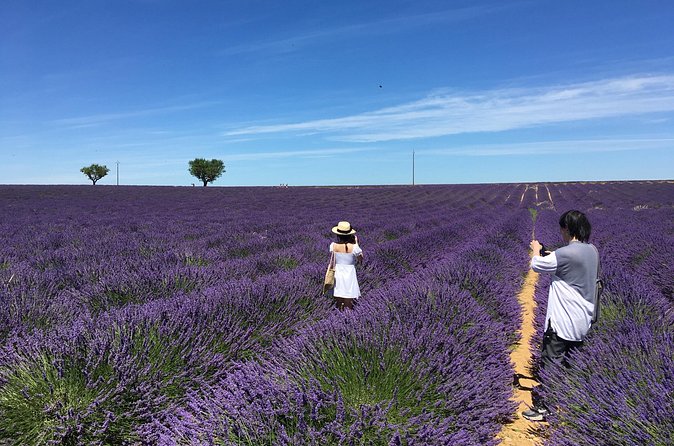 5-Hours Lavender Fields Tour in Valensole from Aix-en-Provence - Valensole village free time: where the lavender capital vibe shows up