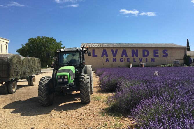 5-Hours Lavender Fields Tour in Valensole from Aix-en-Provence - Guide style: fun facts, photo help, and a pace that stays friendly