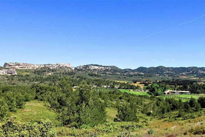 A Day in Provence Small Group Tour from Marseille - Avignon’s Papal sites: guided context, then you roam
