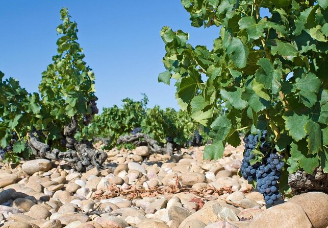 A Day in Provence Small Group Tour from Marseille - Les Baux-de-Provence: cobblestones first, views last