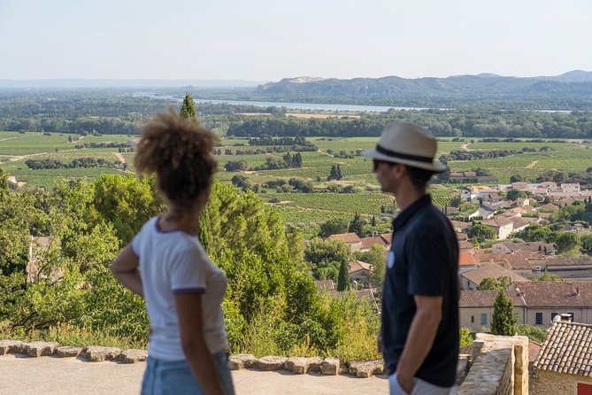 Afternoon Wine Tour to Chateauneuf du Pape from Avignon - Why Châteauneuf-du-Pape Feels Worth It for a Half-Day