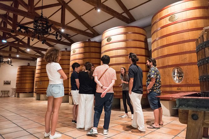 Afternoon Wine Tour to Chateauneuf du Pape from Avignon - What You’ll Taste: Red and White in a Region Known for Specific Grapes