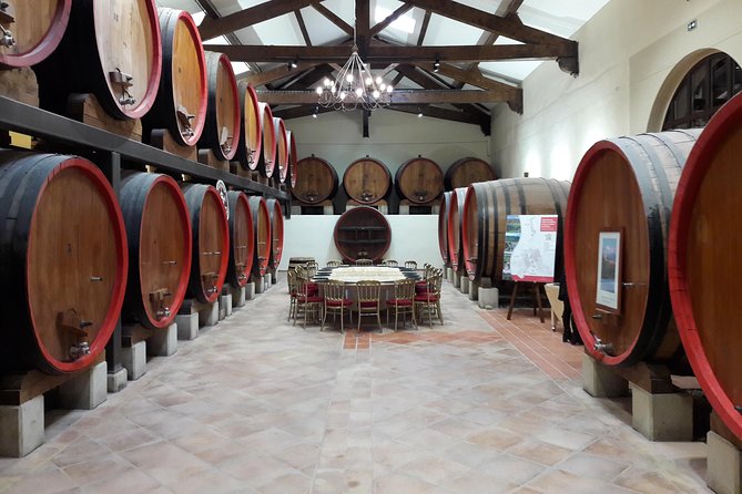 Afternoon Wine Tour to Chateauneuf du Pape from Avignon - Price and Value: Is $127.03 a Good Deal?