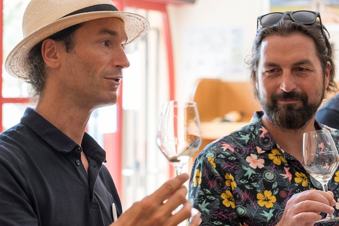 Afternoon Wine Tour to Chateauneuf du Pape from Avignon - Who This Tour Suits Best (and Who Might Skip It)