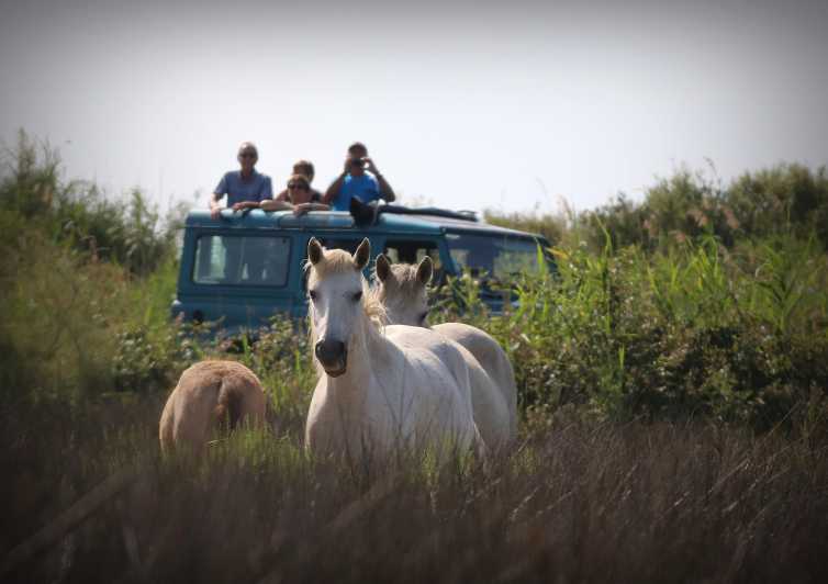 Aigues Mortes: Jeep Photo Safari in Camargue - Aigues-Mortes Jeep Photo Safari: what you really get in 3.5 hours