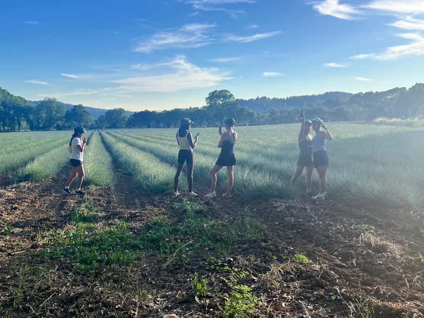 Aix-en-Provence: E-Bike Tour of Mount Sainte-Victoire - Cycloplanet start at 33 Av. Sainte-Victoire, parking at Bellegarde