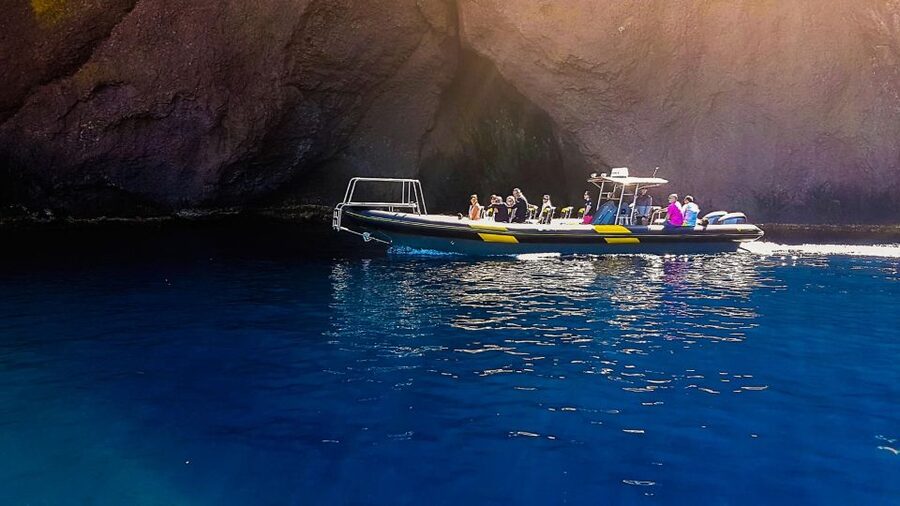 Ajaccio: Guided Scandola Nature Reserve Boat Tour - Final swim at Anse de Cala di Pala: rock platforms and last looks