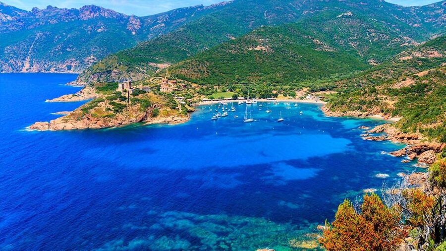 Ajaccio: Guided Scandola Nature Reserve Boat Tour - Price and value check: what $117 buys you in real time