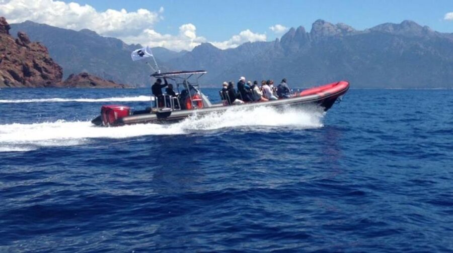 Ajaccio/Porticcio: Scandola & Piana Semi-Rigid Boat Day Trip - Crew and Guides, What the Best Days Feel Like
