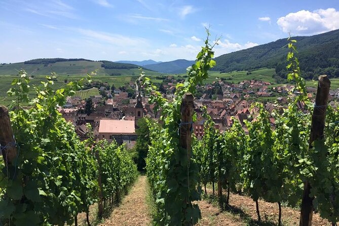 Alsace 4 Wonders Small-Group Day Trip from Colmar - Eguisheim: One of France’s Most Beautiful Villages (and Why Starting Here Helps)
