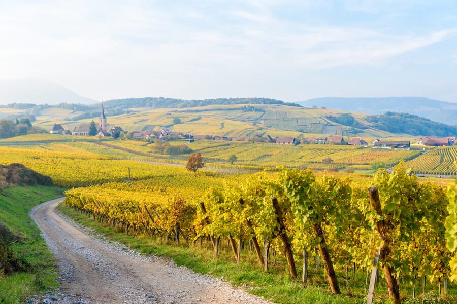 Alsace: Full-Day Wine Tour & Tastings from Strasbourg - Your day starts in Strasbourg, then heads into real Alsace wine country
