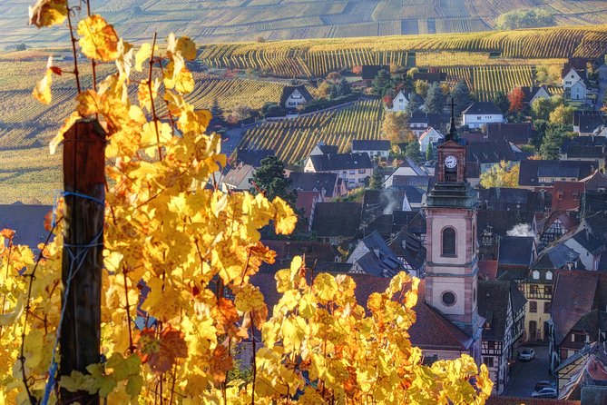 Alsace Half Day Wine Tour from Colmar - Key things to know before you go