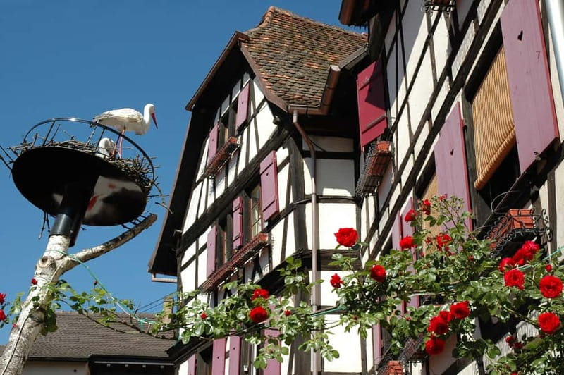 Alsace Half-Day Wine Tour from Strasbourg - The Alsace Wine Route drive: what you’re really paying for