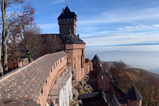 Alsace Private Tailored Tour in a Luxury Car - Who should book this Alsace private Tesla tour?
