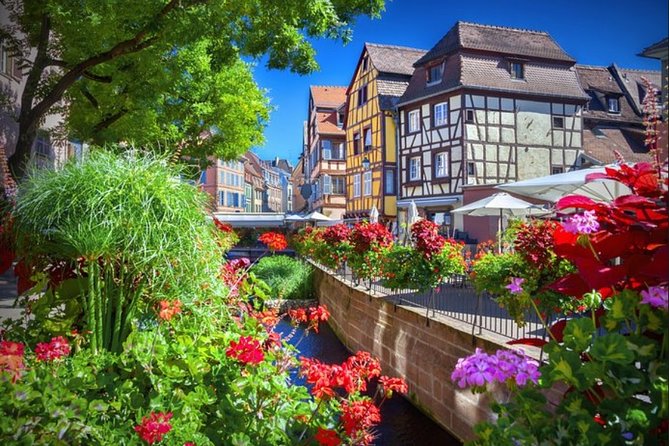 Alsace's Gems Small Group Day Tour from Colmar - After lunch on the Alsace Wine Route: what the tasting adds