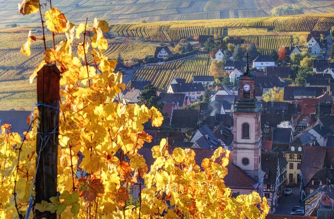 Alsace's Gems Small Group Day Tour from Colmar - Eguisheim stop: half an hour to wander, or less in winter