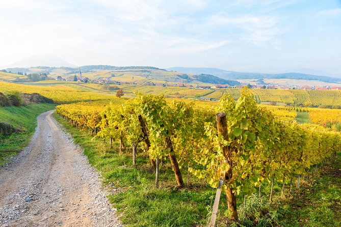 Alsace villages half day tour from Colmar - Price and Value for a $90.74 Half-Day