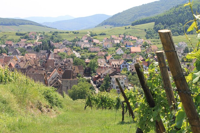 Alsace Wine Route Small Group Half-Day Tour with Tasting from Strasbourg - Strasbourg to Alsace Wine Route: How the Half-Day Works