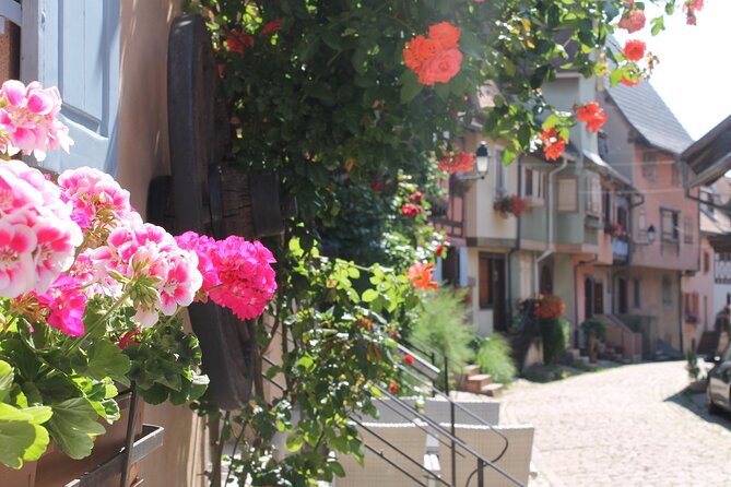Alsace Wine Route Small Group Half-Day Tour with Tasting from Strasbourg - The Two Winery Stops: Tastings in Different Moods