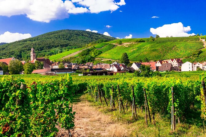 Alsace Wine Route Small Group Half-Day Tour with Tasting from Strasbourg - Timing, Group Size, and Comfort in the 8-Passenger Van