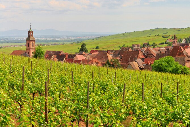 Alsace Wine Route Small Group Half-Day Tour with Tasting from Strasbourg - Price and Value: What You Pay For, What You Should Bring