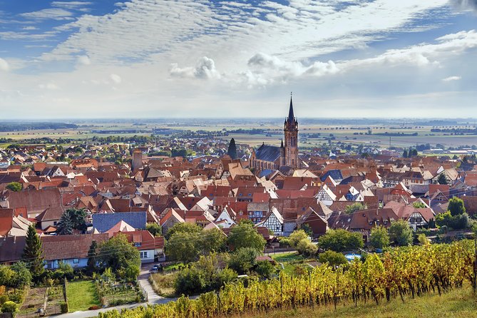 Alsace Wine Route Wineries & Tasting Small Group Guided Tour from Strasbourg - Ribeauvillé-Riquewihr: grand cru slopes and the “why this tastes different” moment