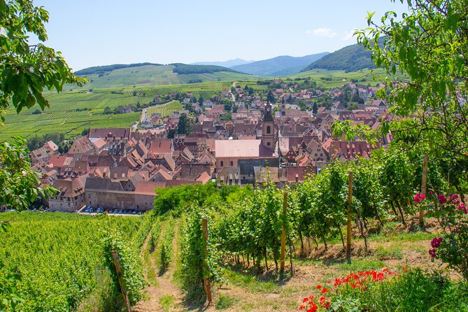 Alsace Wine Route Wineries & Tasting Small Group Guided Tour from Strasbourg - Riquewihr and Ribeauvillé time: charming, but timing is everything
