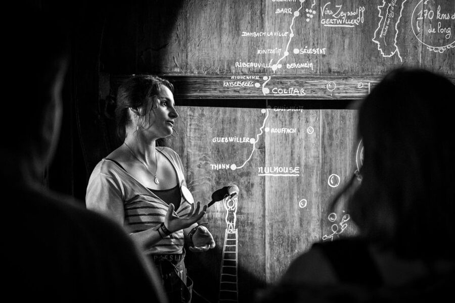 Alsatian Guided Wine Tasting and Immersive wine cellar tour - Should You Book This Alsace Guided Wine Tasting?