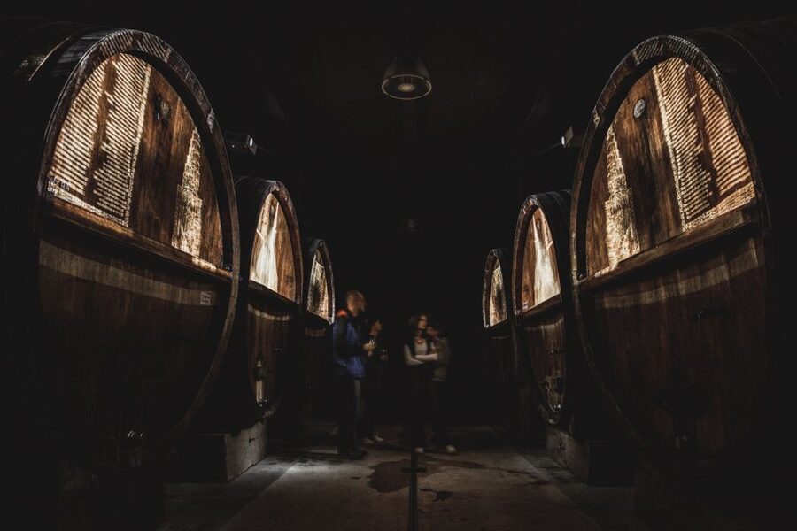 Alsatian Guided Wine Tasting and Immersive wine cellar tour - Alsace Wine Tasting, The Way It Should Feel