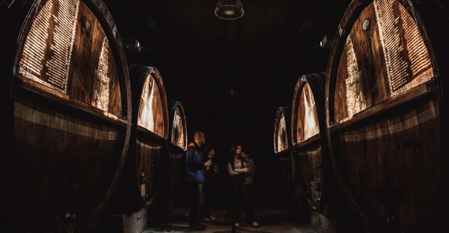 Alsatian Guided Wine Tasting and Immersive wine cellar tour - The 5-Wine Tasting: Styles You Can Actually Compare