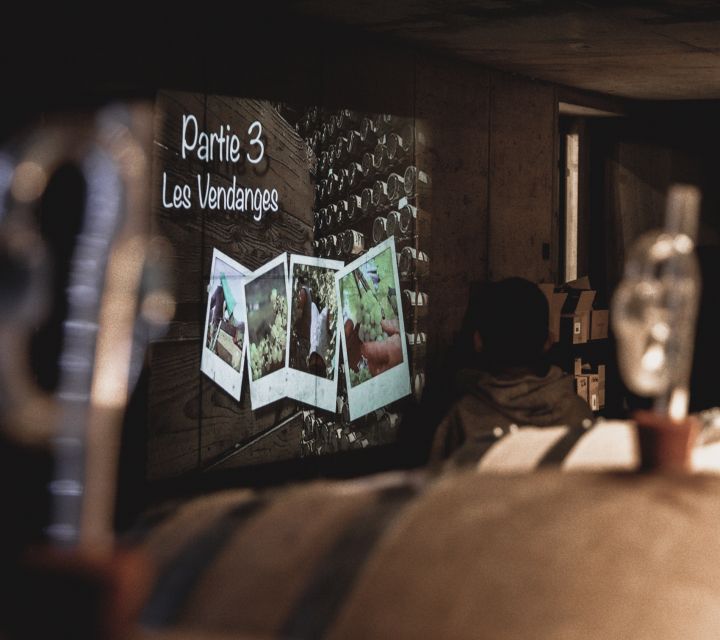Alsatian Guided Wine Tasting and Immersive wine cellar tour - Timing, Pick-Up at Route de Strasbourg, and the Hour in Gertwiller