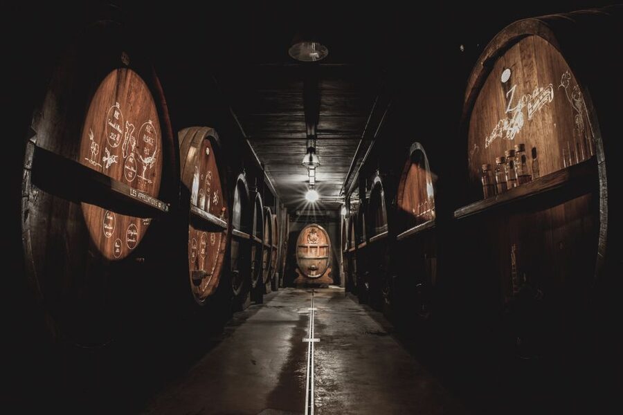 Alsatian Guided Wine Tasting and Immersive wine cellar tour - Price and Value at $22 for 90 Minutes