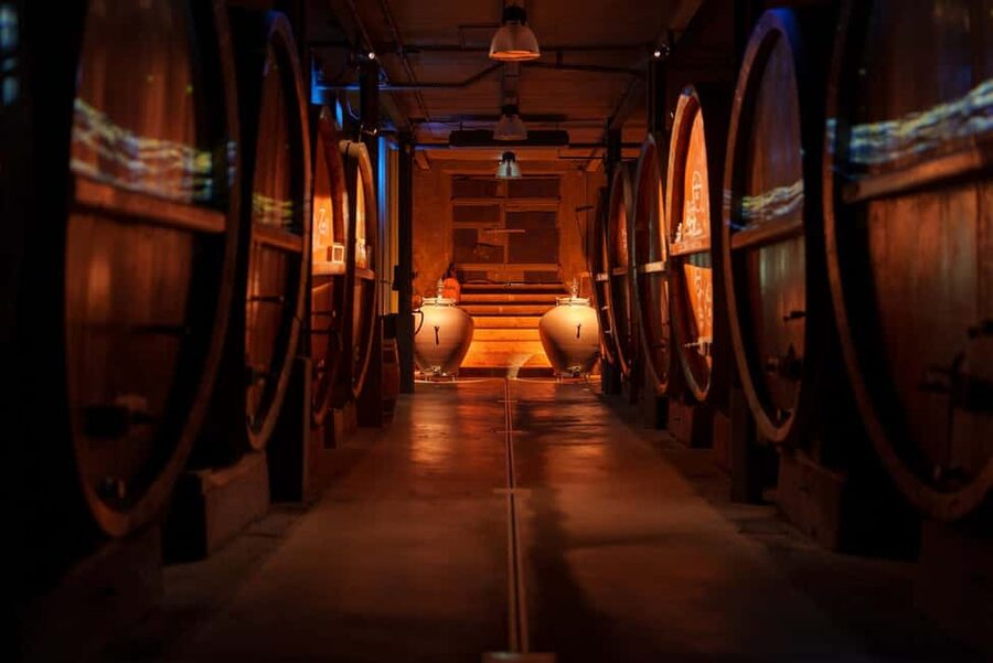 Alsatian Guided Wine Tasting and Immersive wine cellar tour - Who This Tour Fits Best