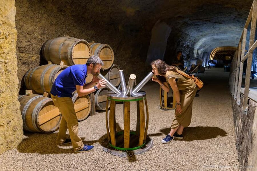 Amboise: Caves Ambacia Visit and Wine Tasting - Practical Tips So You Enjoy It Fully