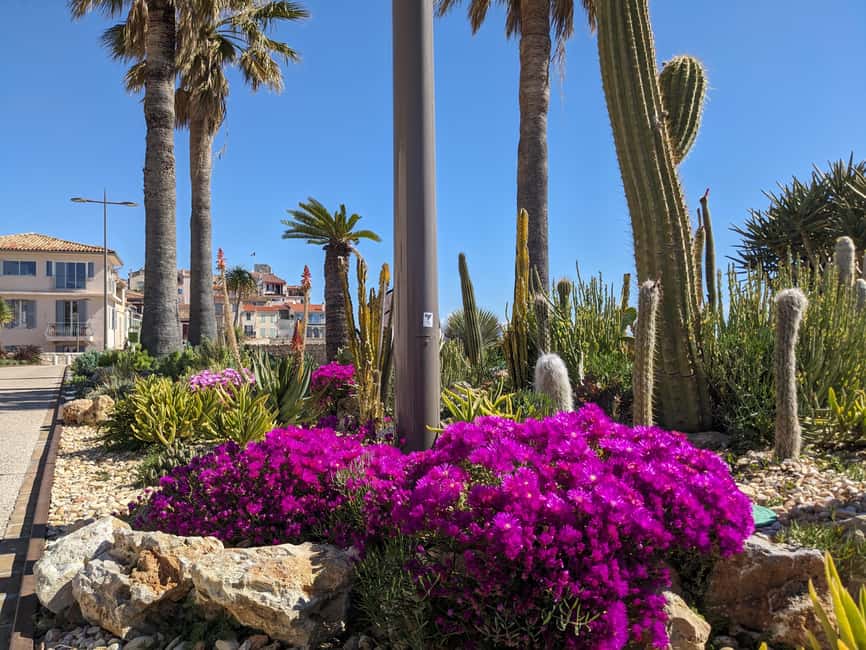 Antibes: 2 hour walking tour in the old town - Price and value: why $29 feels fair for what you get