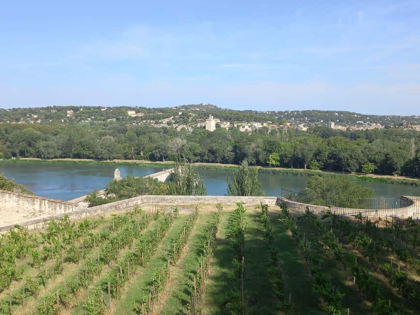 Avignon: City Walking Tour with Popes Palace Entry - The Walk-to-Palace Stairs Reality Check