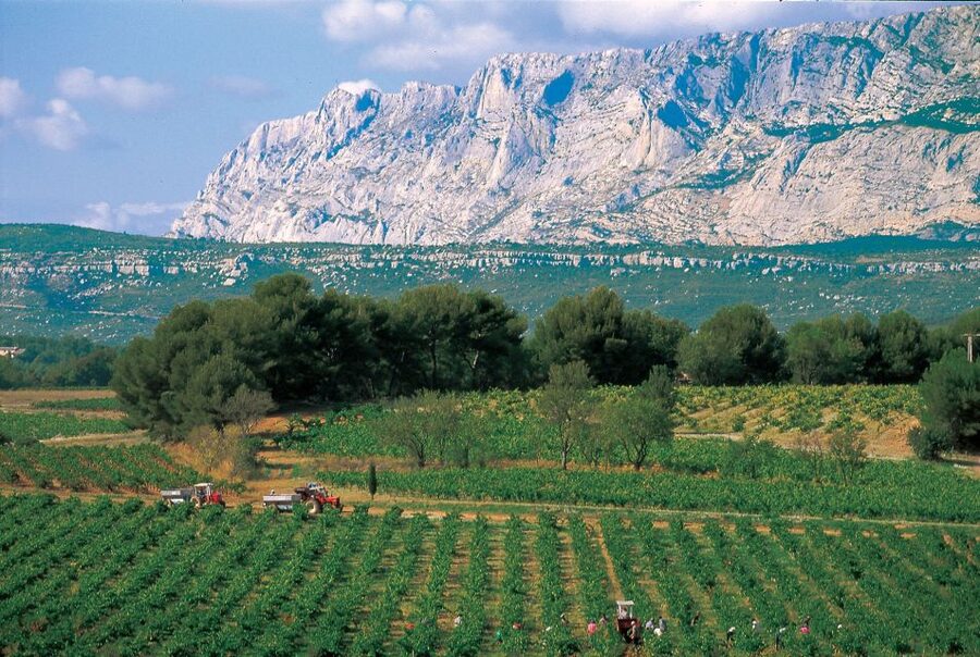 Avignon: Full-Day Wine Tour around Châteauneuf-du-Pape - Your tasting toolkit: eyes, nose, palate