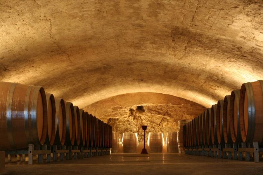 Avignon: Full-Day Wine Tour around Châteauneuf-du-Pape - Practical day-of tips that make the tour feel easy