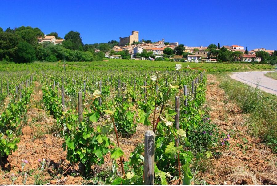 Avignon: Full-Day Wine Tour around Châteauneuf-du-Pape - Small-group format (max 8) and why it changes the day