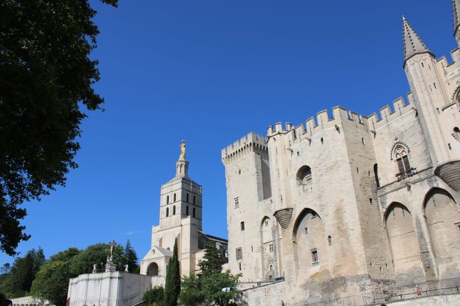 Avignon: Historic District Guided Food & Wine Walking Tour - Why This Avignon Food and Wine Walk Works